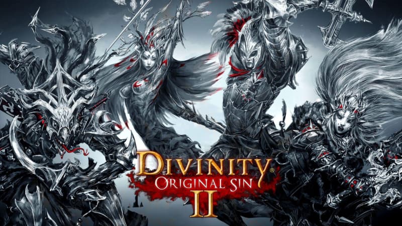 Best RPG Games - Divinity Original Sin 2