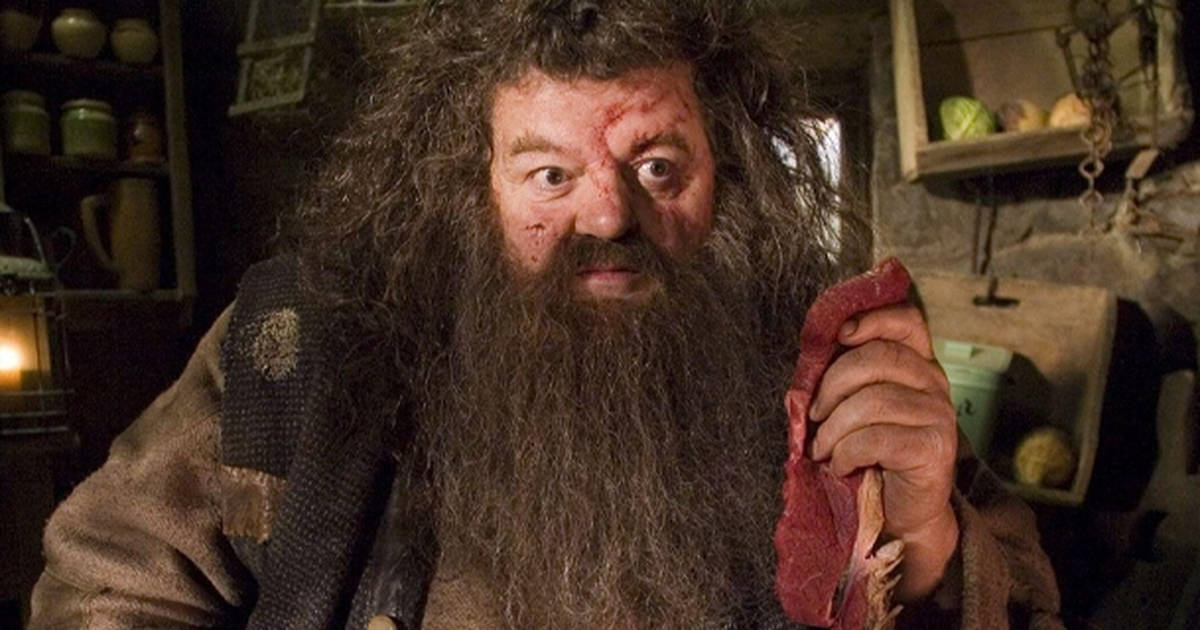 Best Harry Potter Characters - Hagrid