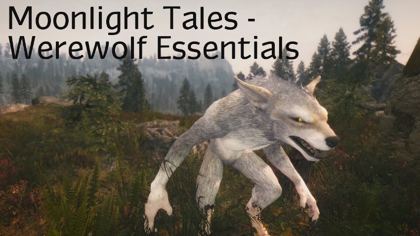 Best Skyrim Mods of All Time - Moonlight Tales