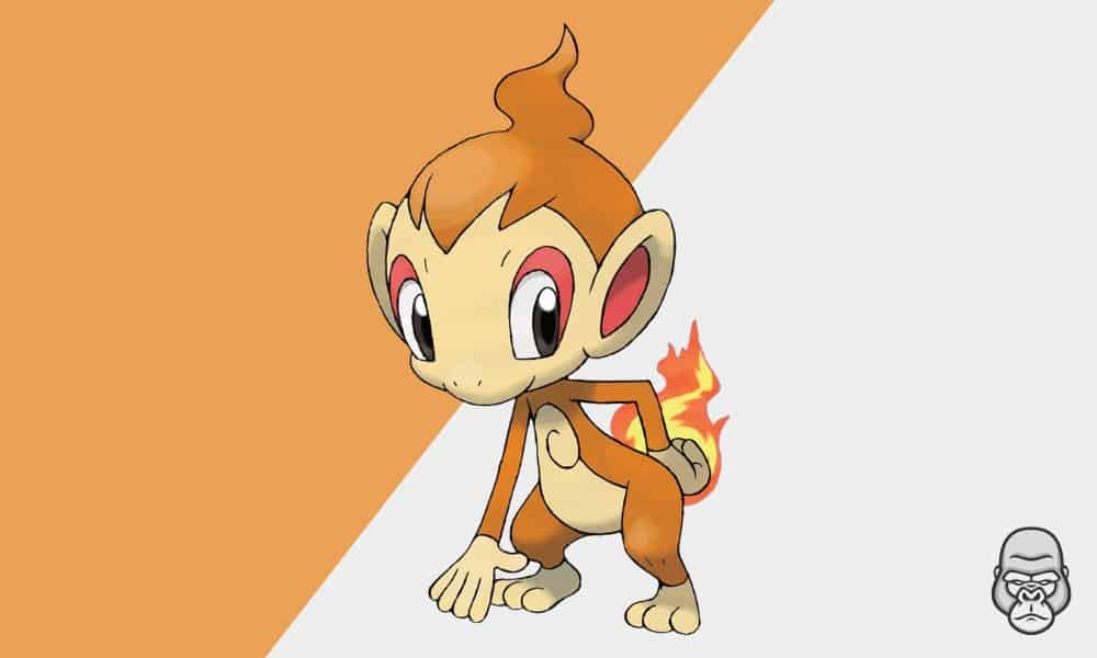 Best Starter Pokemon - Chimchar