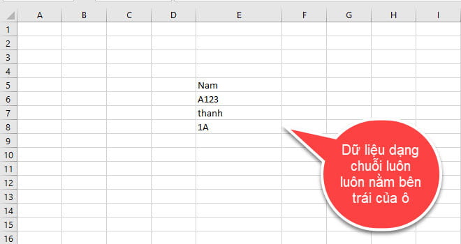 Các loại dữ liệu thường gặp trong Excel: Tổng quan và cách sử dụng