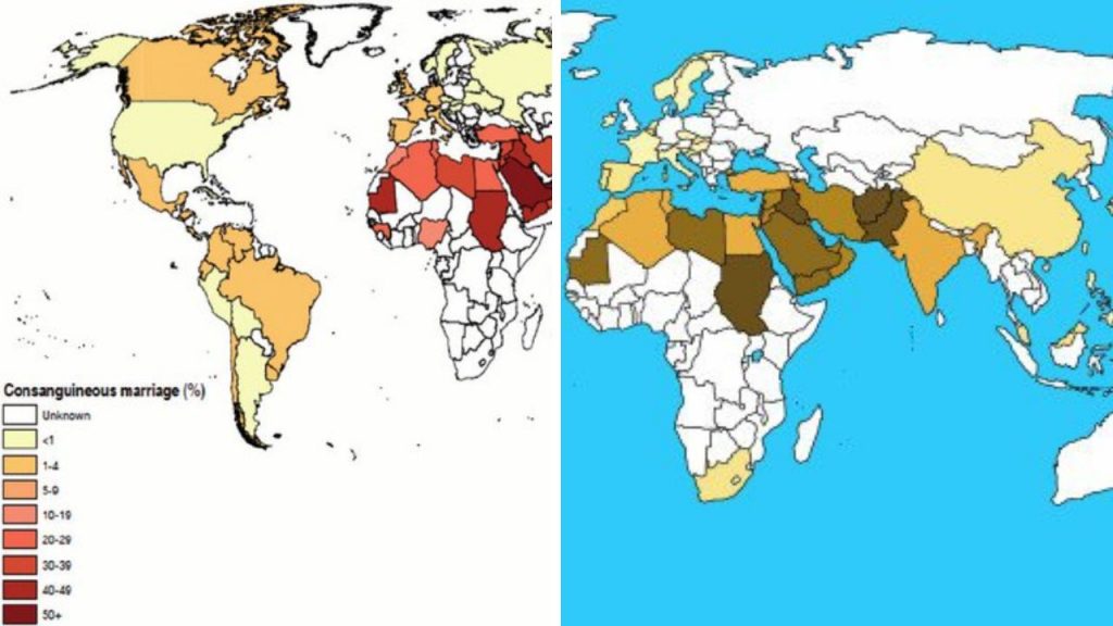 20 The Ultimate Guide To Identifying The State With The Highest Rates   State With The Highest Rates Of Inbreeding 1 1024x576 